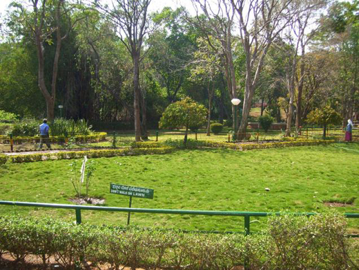 Kudremukh park may not get tiger reserve tag 